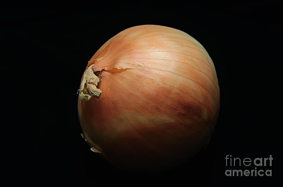 Weathered Onion - Garden Vegetable - Culinary - Chef Photograph by Andee Design