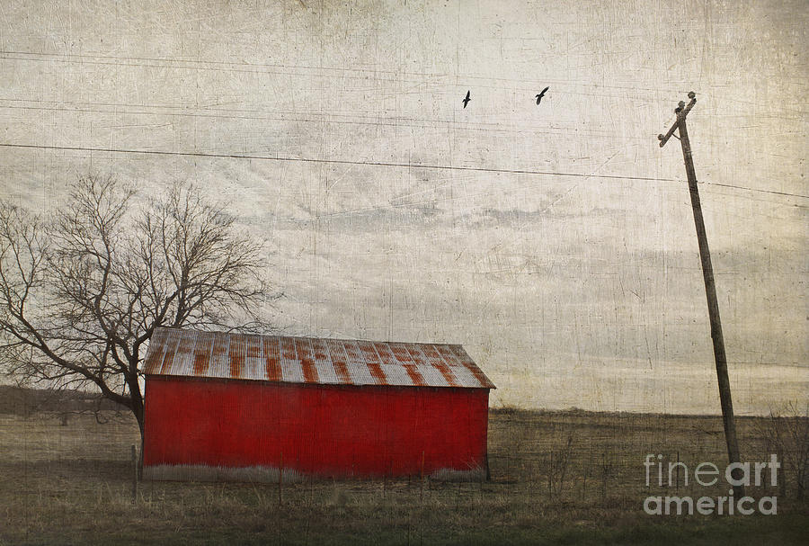 Weathered red barn Photograph by Elena Nosyreva