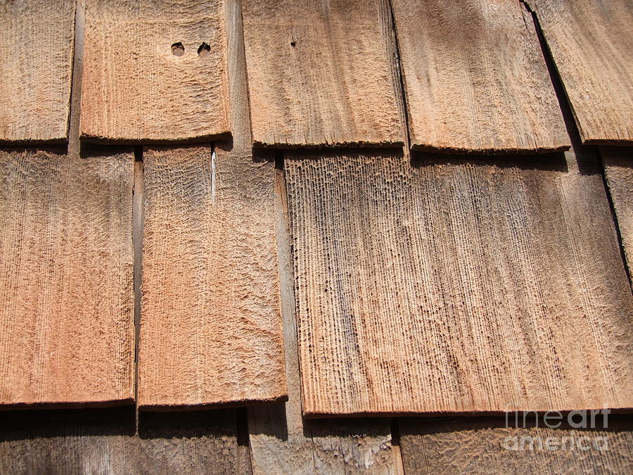 Weathered Shingles Photograph By Mary Deal