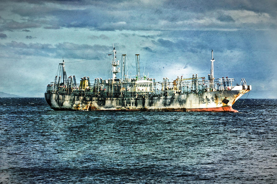 Weathered Ship Photograph by Richard Gehlbach