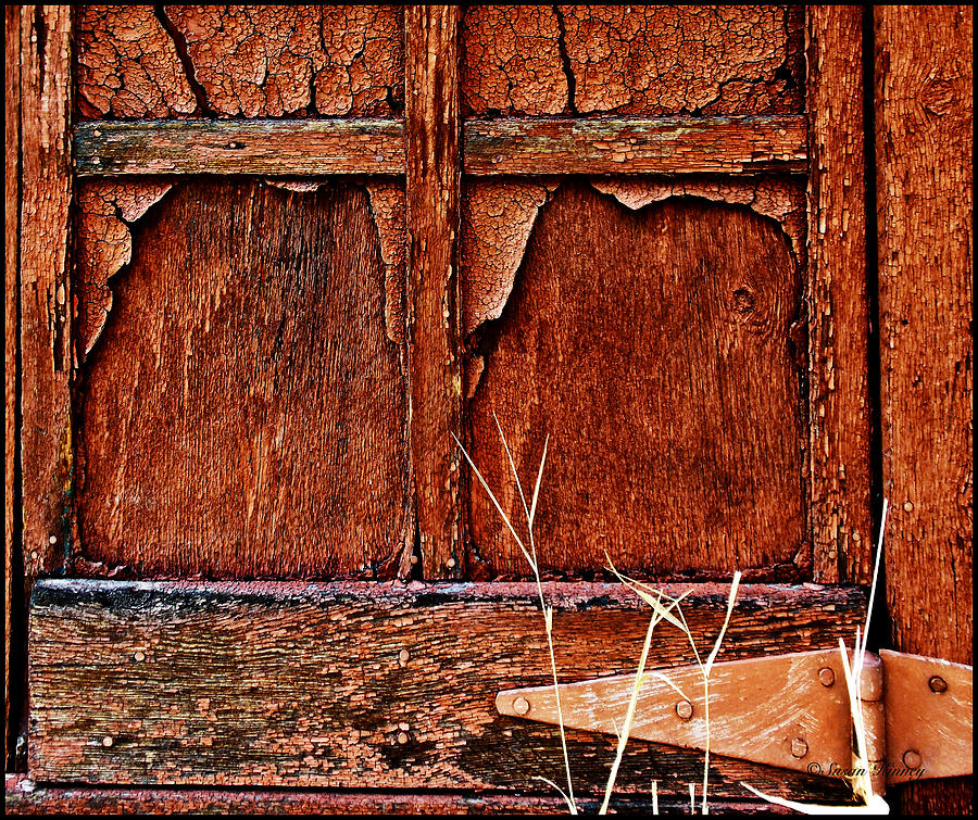 Weathered Photograph by Susan Kinney