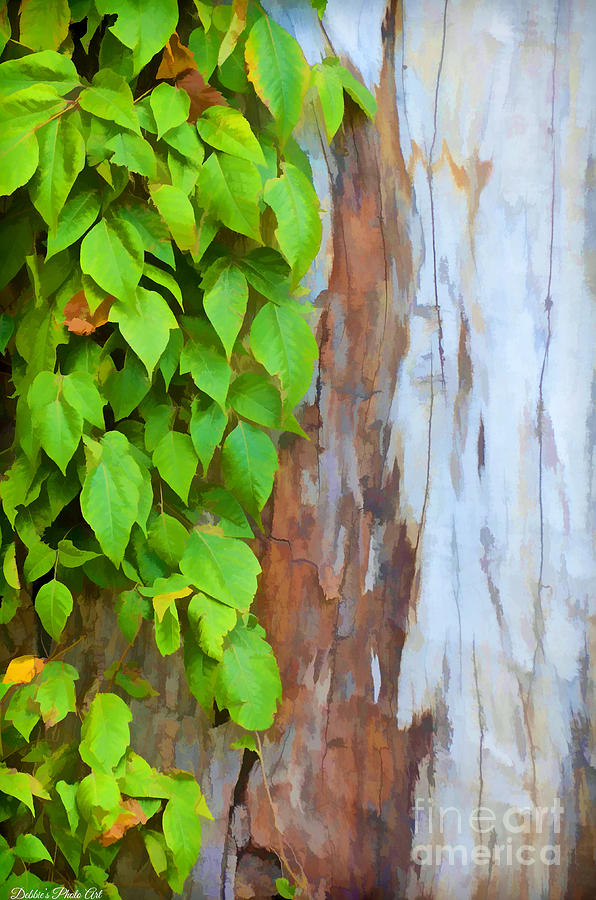 Weathered Tree trunk with vines - Digital paint Photograph by Debbie Portwood