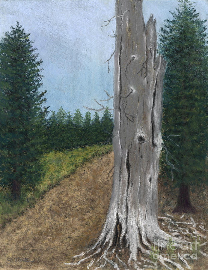 Weathered Trunk Painting by Ginny Neece