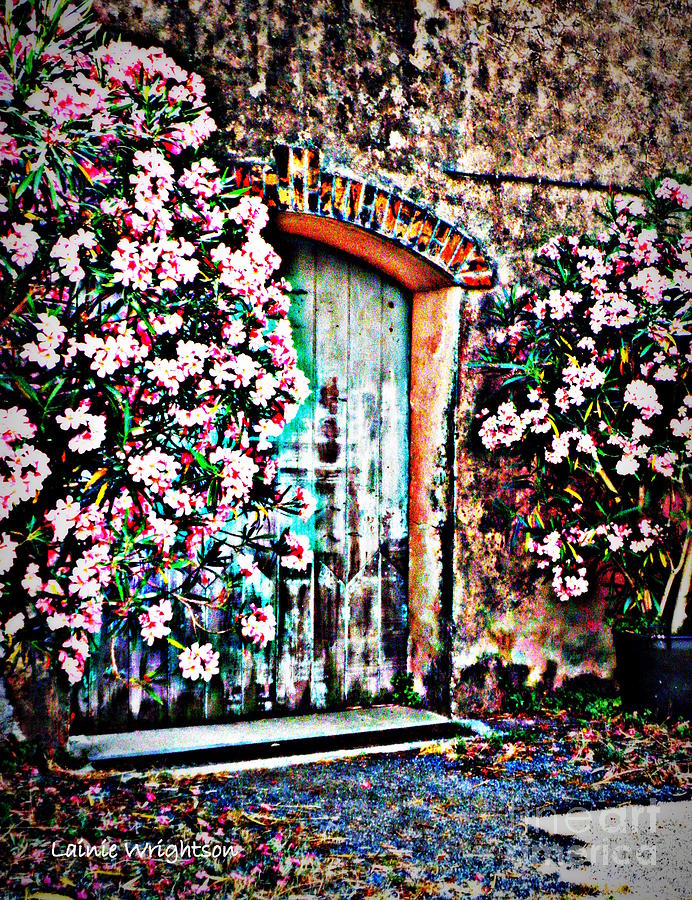 Weathered Vineyard Door Photograph by Lainie Wrightson