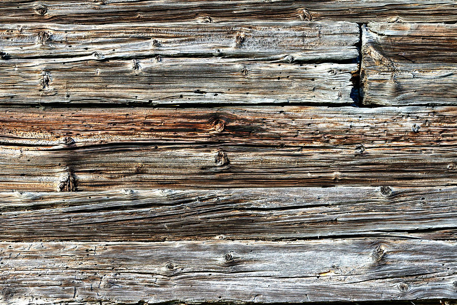 Weathered wood 1 Photograph by Charles Lupica