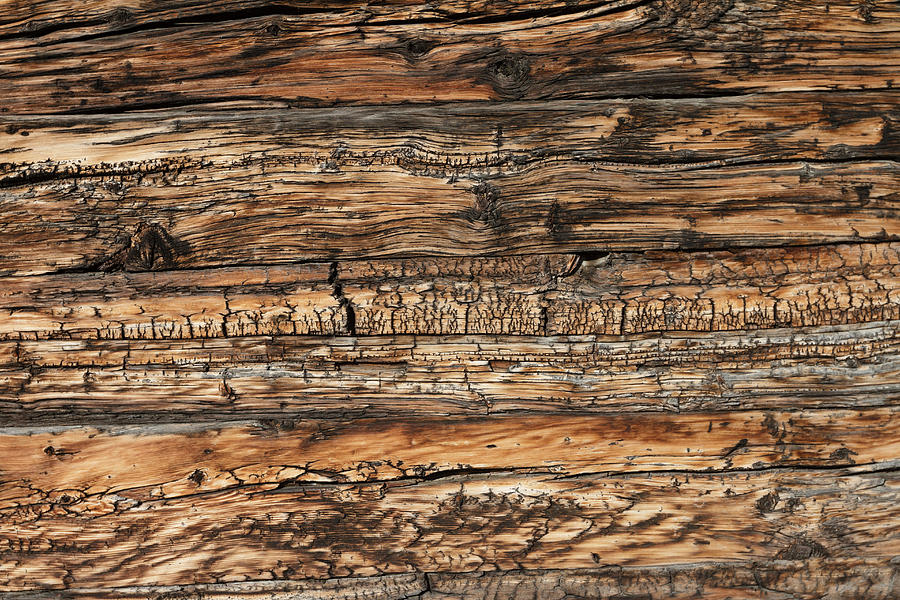 Weathered wood 5 Photograph by Charles Lupica