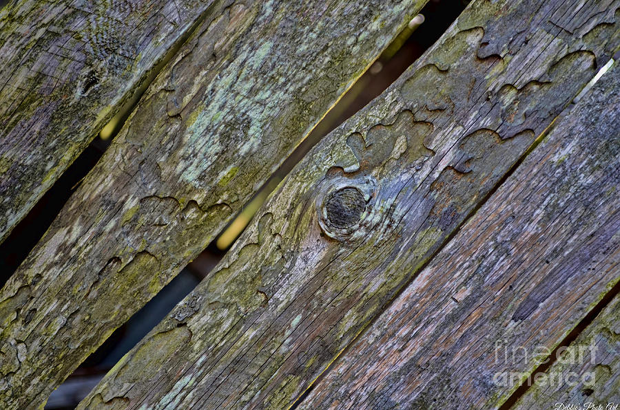 Weathered wood boards Photograph by Debbie Portwood