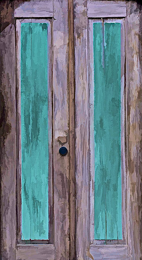 Weathered Wood Door of the Caribbean II Photograph by David Letts