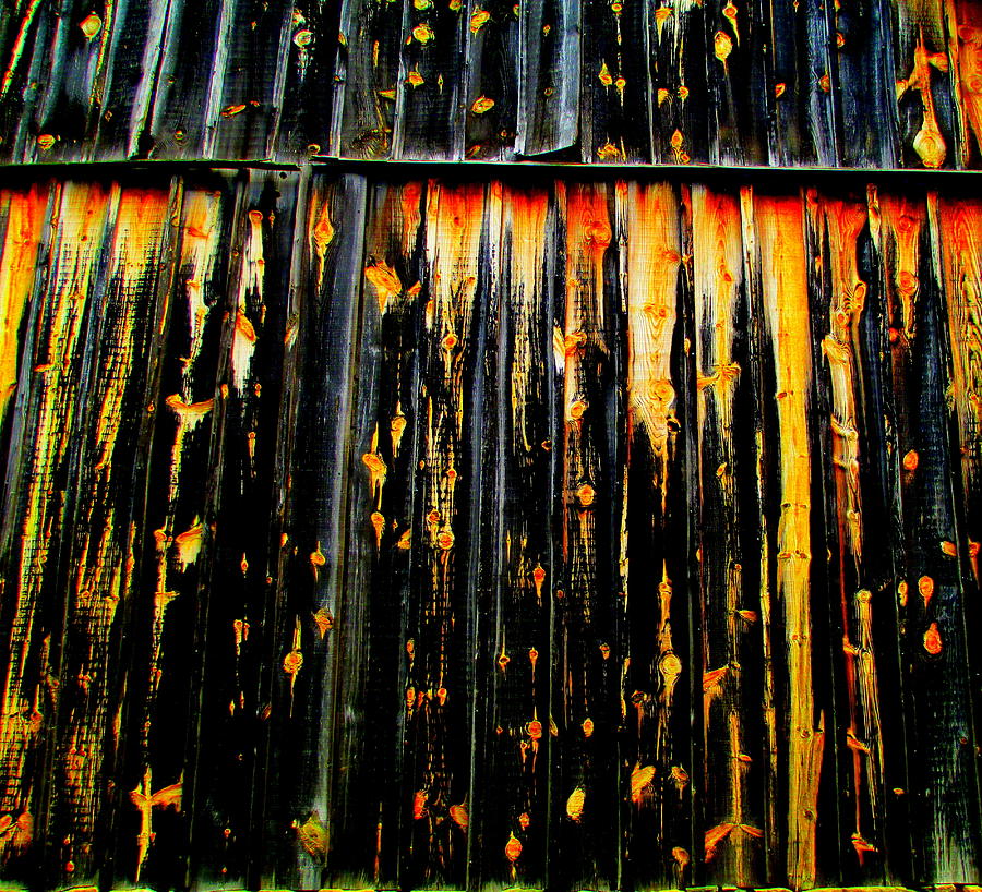 Weathered Wood Photograph by Randall Weidner