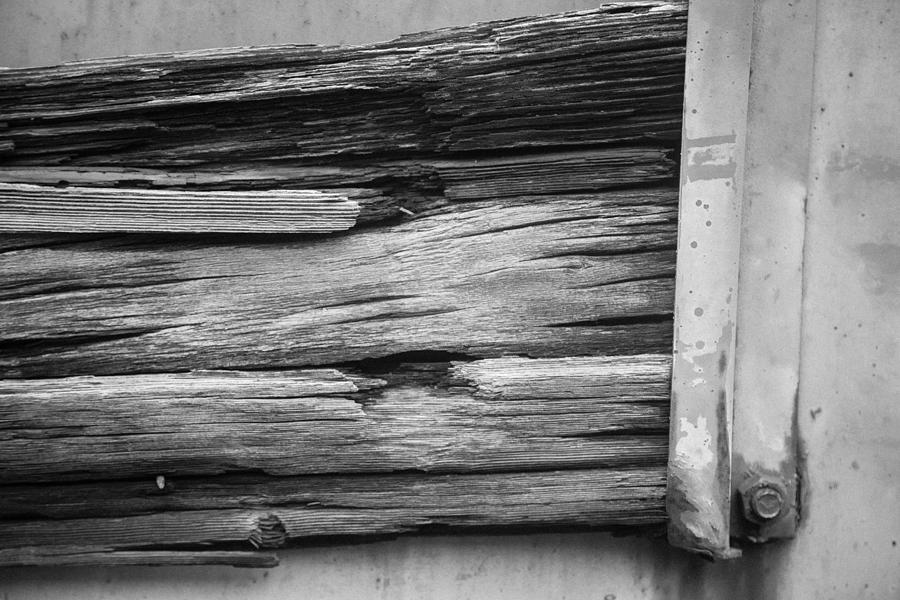 Weathered wood Photograph by Toni Hopper