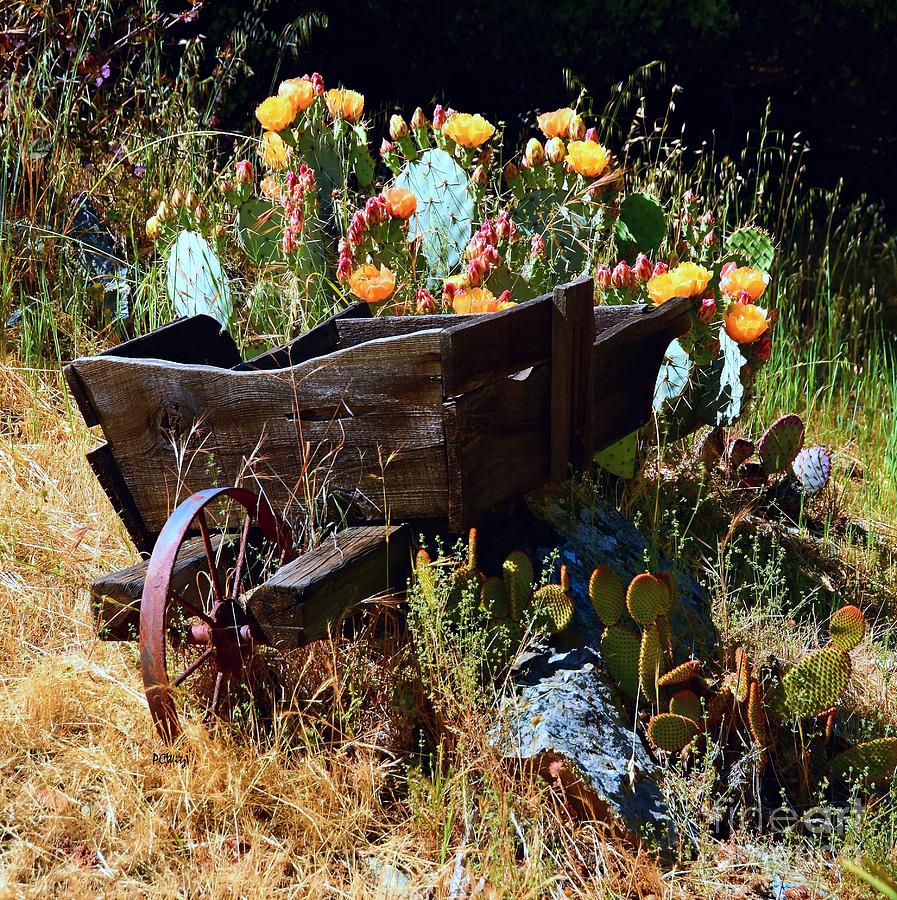 Weathered Wooden Wheelbarrow Photograph by Patrick Witz