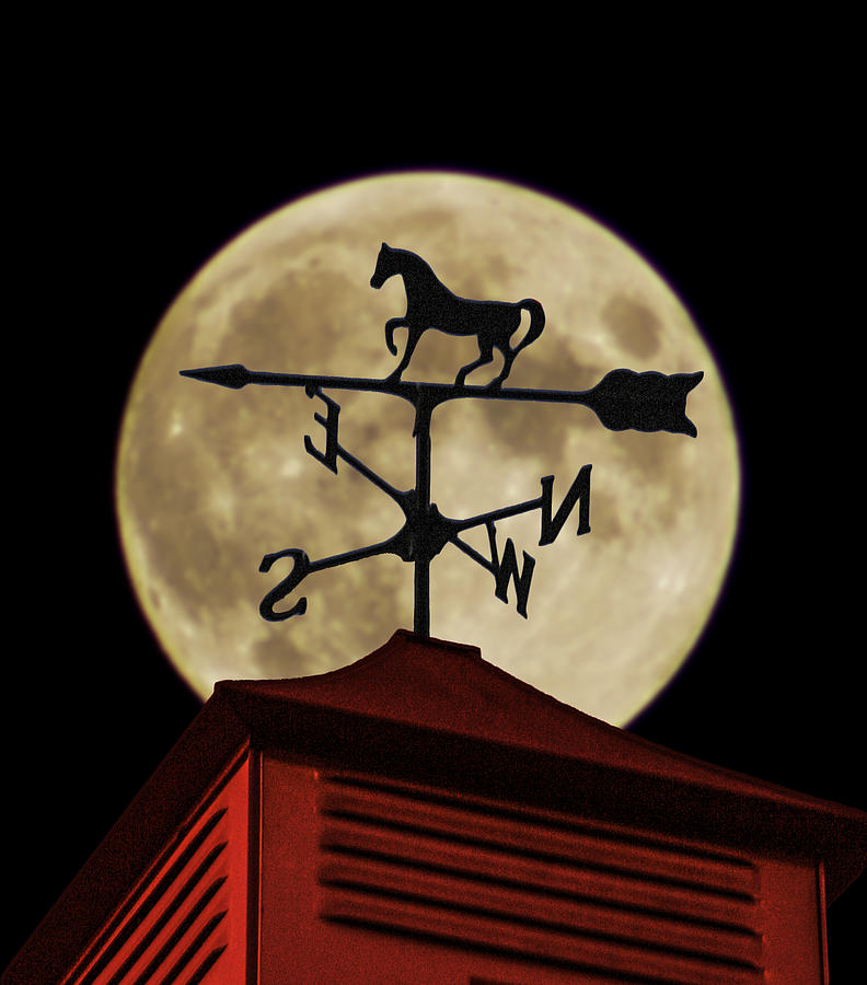 Horse Photograph - Weathervane before the Moon by Wes Jimerson