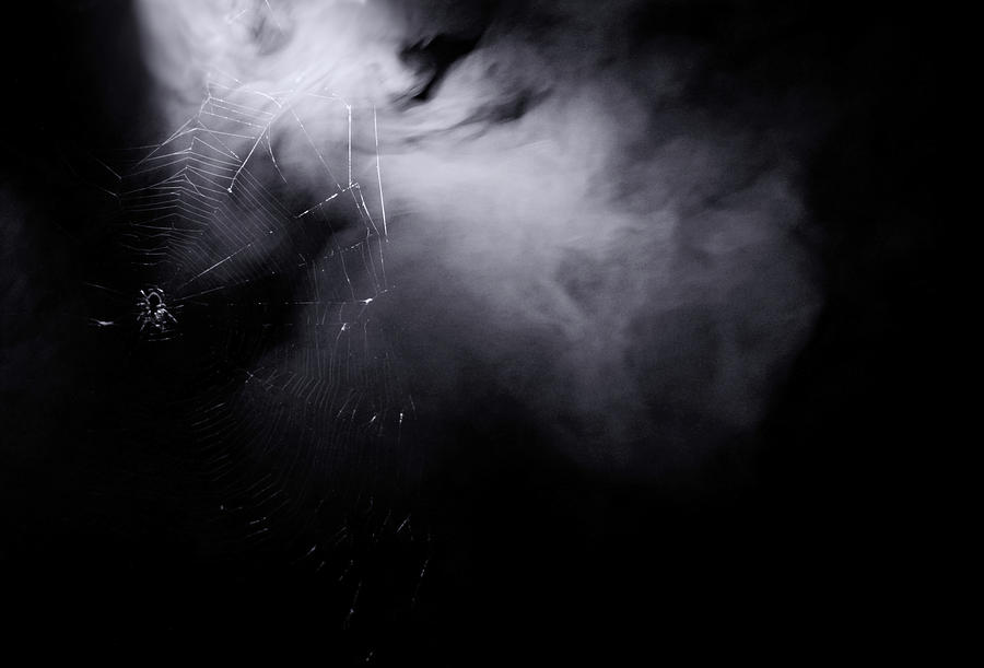 Web of Smoke Photograph by La Dolce Vita