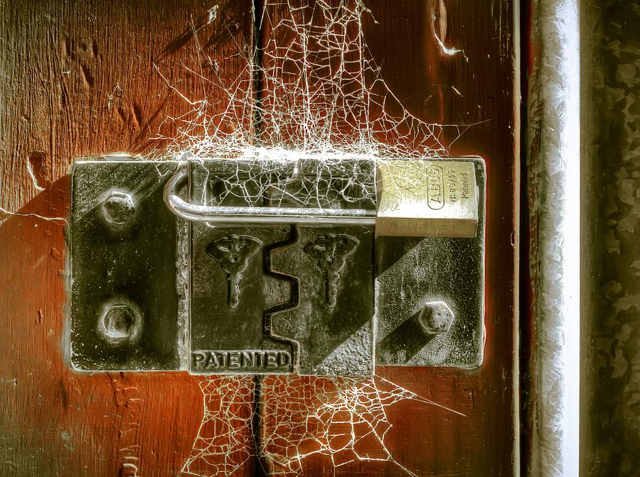 Texture Photograph - Web Security by Wayne Sherriff