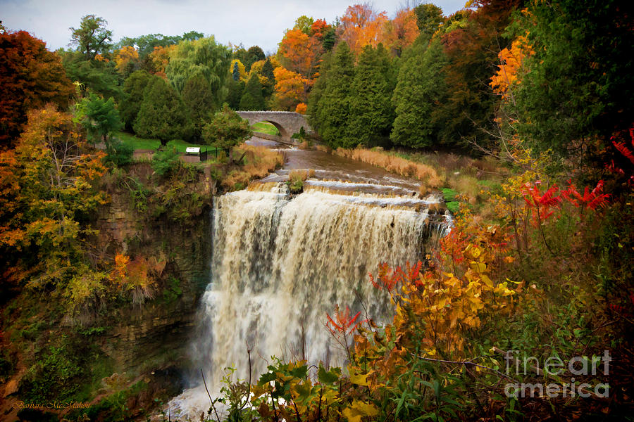 Websters Falls in Autumn Photograph by Barbara McMahon