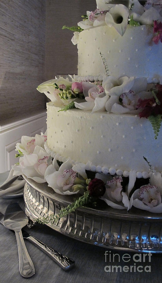 Wedding Cake Photograph by Arlene Carmel