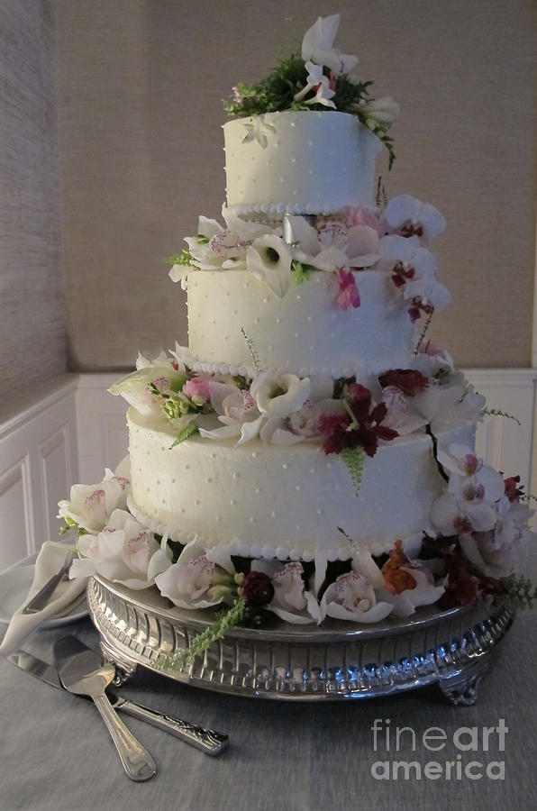Wedding Cake In Bloom Photograph by Arlene Carmel