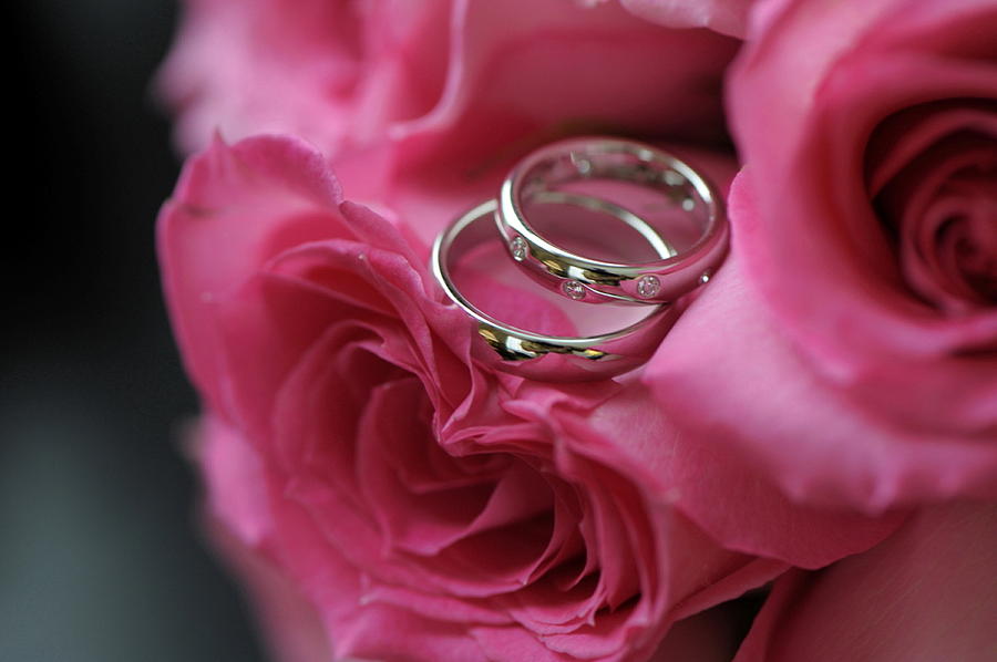 Wedding Rings and Roses Photograph by Richard Cheski