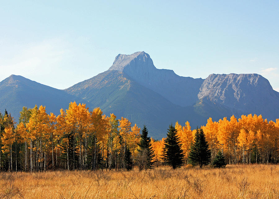 Wedge Mountain and Aspen Photograph by Gerry Bates