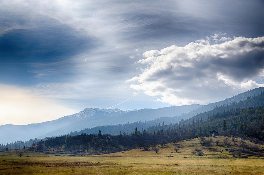 Weed California Photograph by Digiblocks Photography