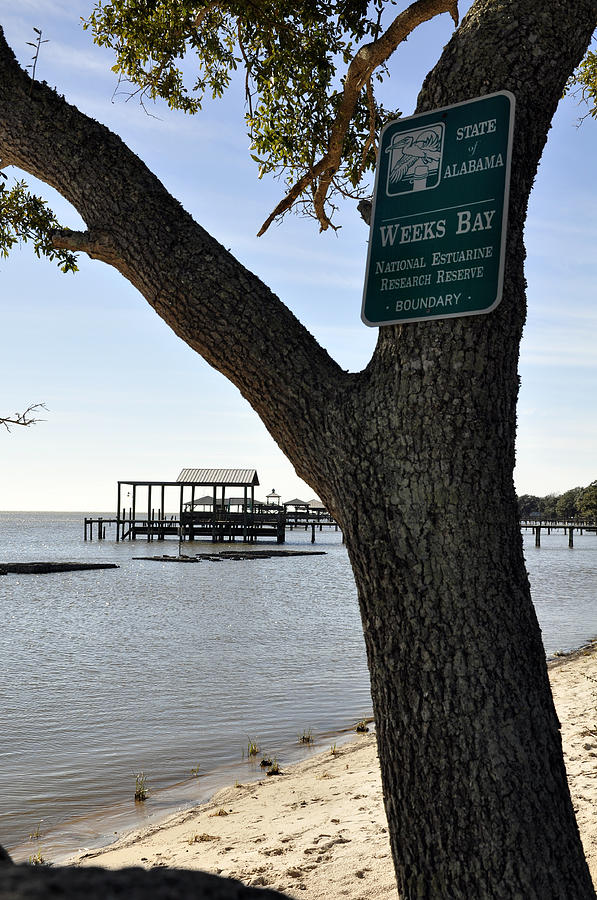 Weeks Bay Meets The Gulf Photograph by David Dittmann Fine Art America