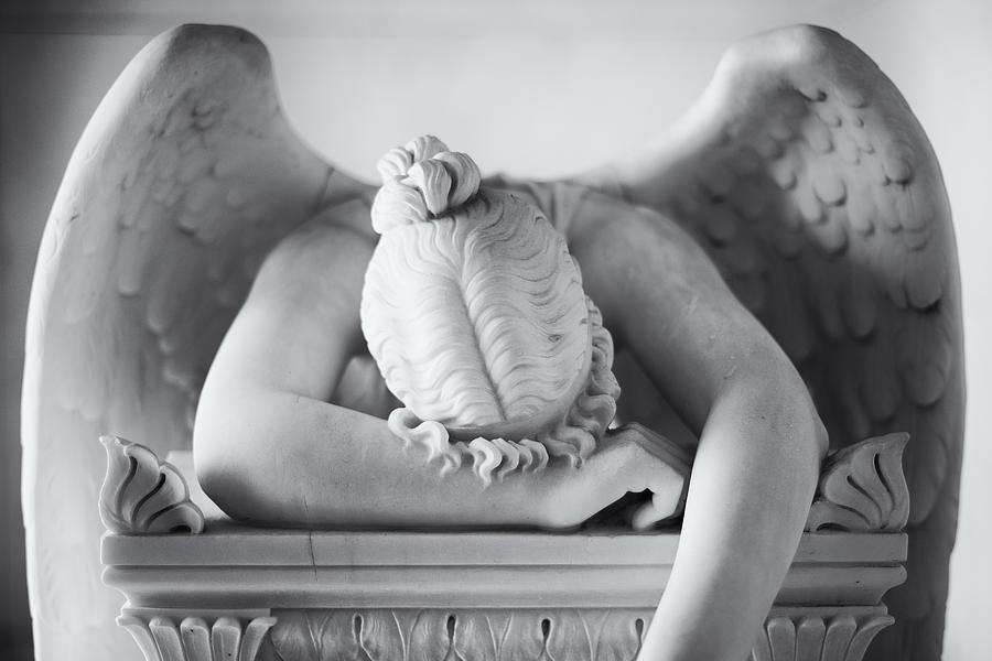 Weeping Angel 2 Photograph by John Gusky