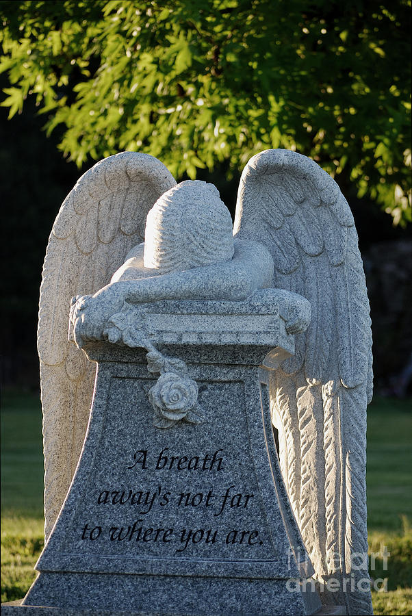 Weeping Angel II Photograph by Sharon Elliott