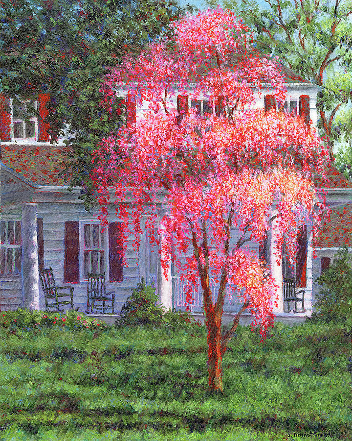 Spring Painting - Weeping Cherry by the Veranda by Susan Savad
