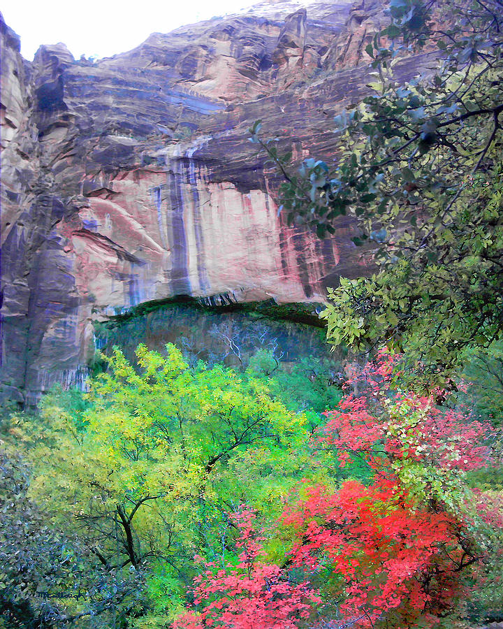 Weeping Rock at Zion National Park Photograph by Duane McCullough