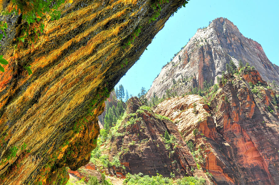 Weeping Rock - Zion National Park - Utah Photograph by Bruce Friedman
