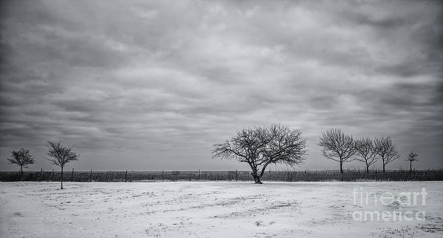 Winter Photograph - Weeping Souls Of Winter Desires by Evelina Kremsdorf