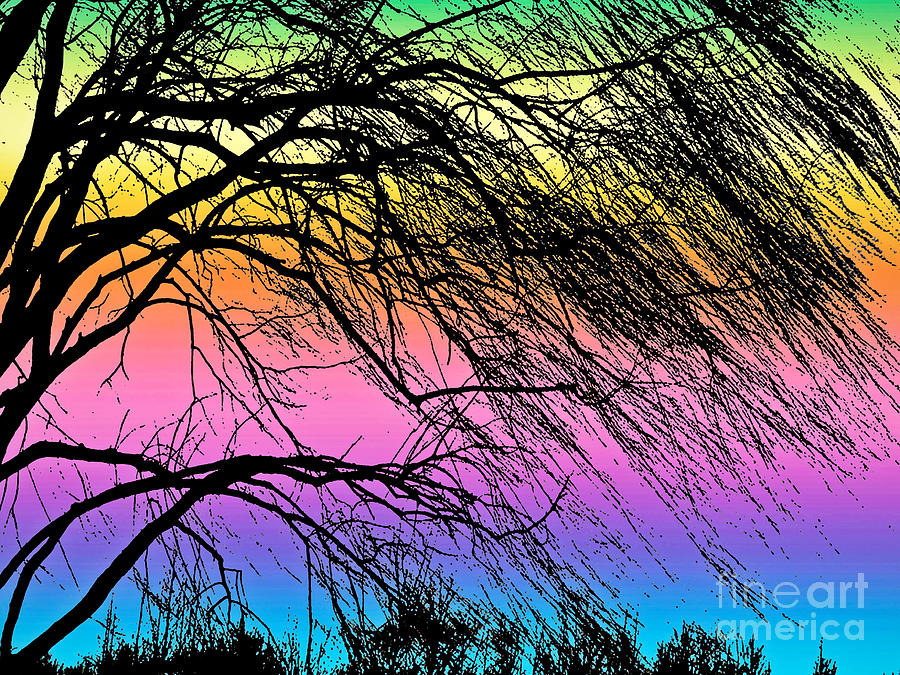 Abstract Photograph - Weeping Willow in Rainbow Harmony by Carol F Austin
