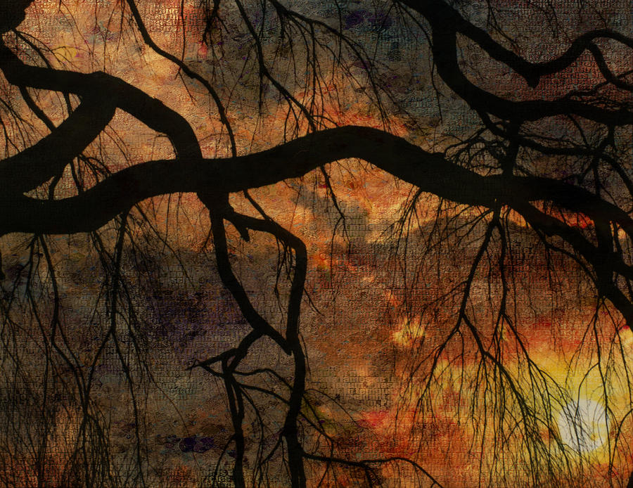 Weeping willow sunset Digital Art by Bruce Rolff