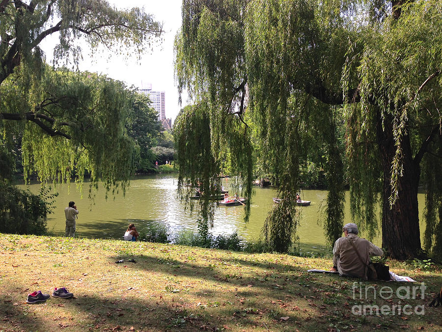 Central Park Photograph - Weeping Willows in Central Park  by Christy Gendalia