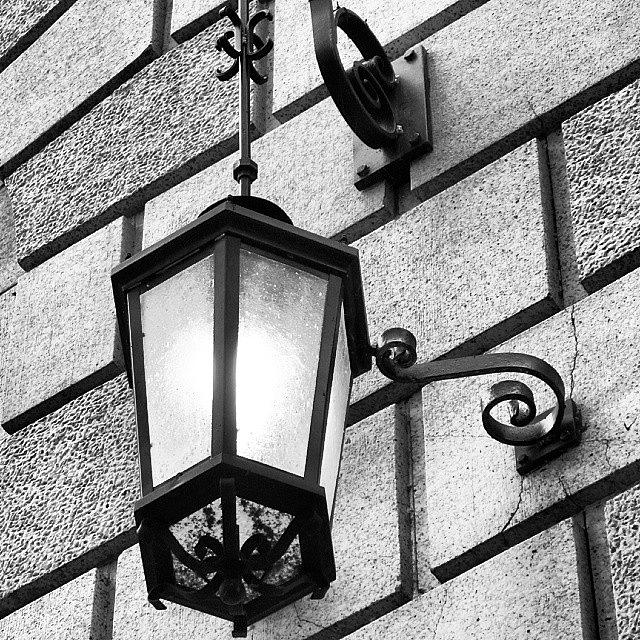 Black And White Photograph - Classy Light by Laura Doty