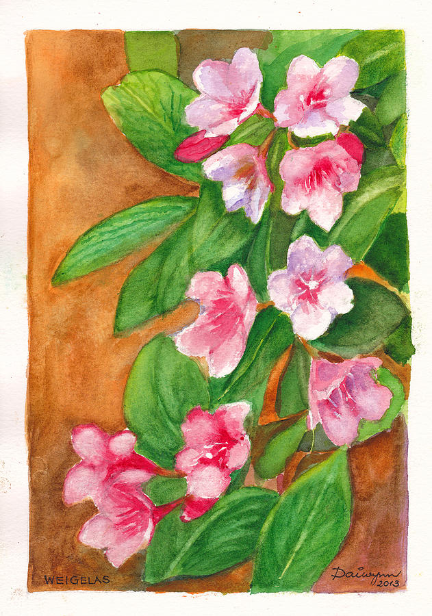 Weigelas in bloom Painting by Dai Wynn