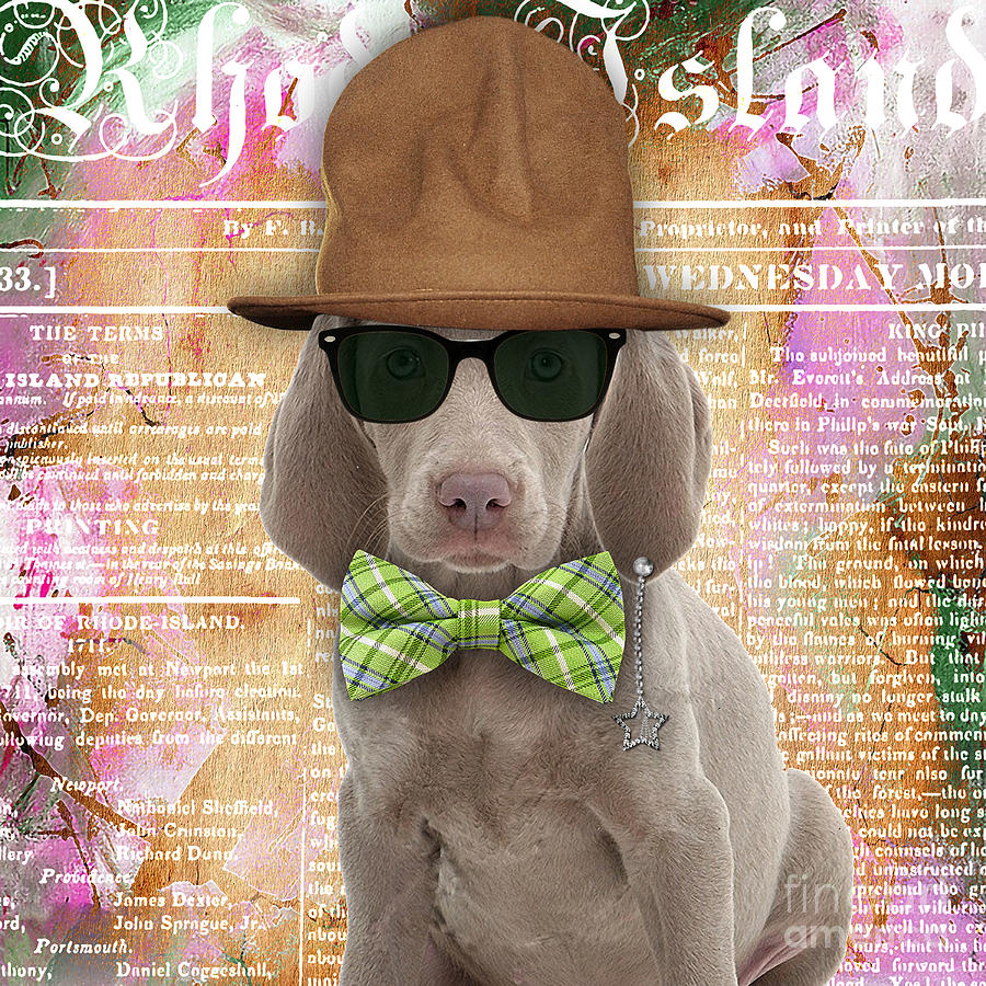 Cool Mixed Media - Weimaraner Bowtie Collection by Marvin Blaine
