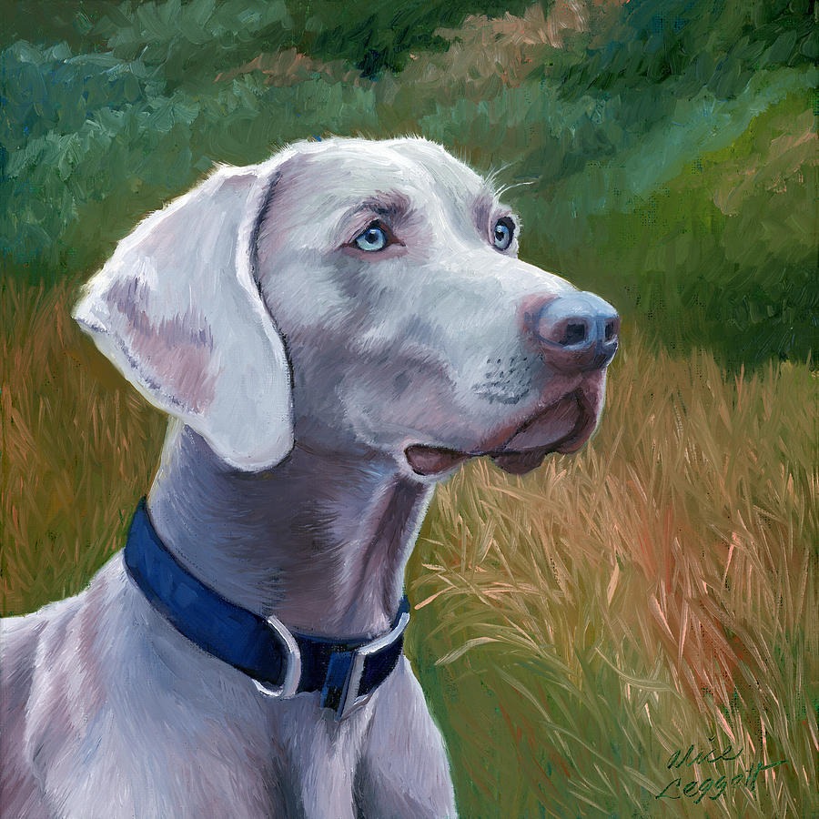 Weimaraner Dog Painting by Alice Leggett