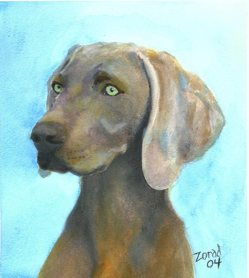 Weimaraner Dog Painting by Mary Jo Zorad