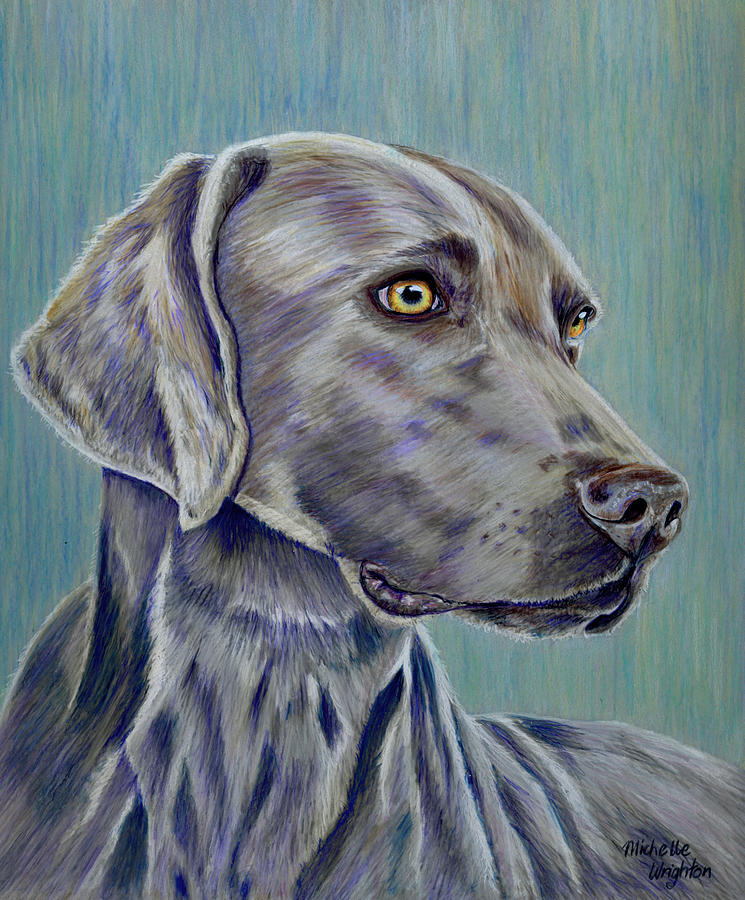 Dog Painting - Weimaraner Grey Ghost by Michelle Wrighton