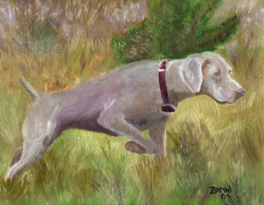 Dog Painting - Weimaraner Point by Mary Jo Zorad