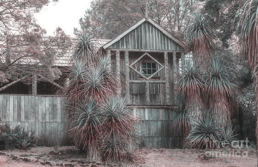 Weindorfers Chalet Cradle Mountain Tasmania Photograph by Elaine Teague Weindorfers Chalet Cradle Mountain Tasmania Photograph by Elaine Teague