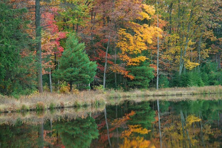 Weiser State Forest Reflection #2 Photograph by Art Spearing - Fine Art ...