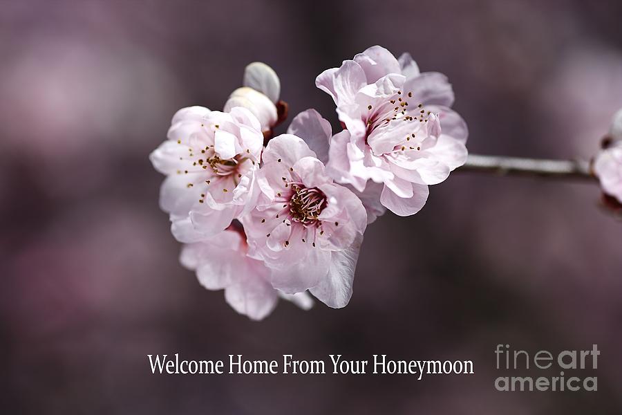 Welcome Home From Your Honeymoon Floral Photograph by Joy Watson