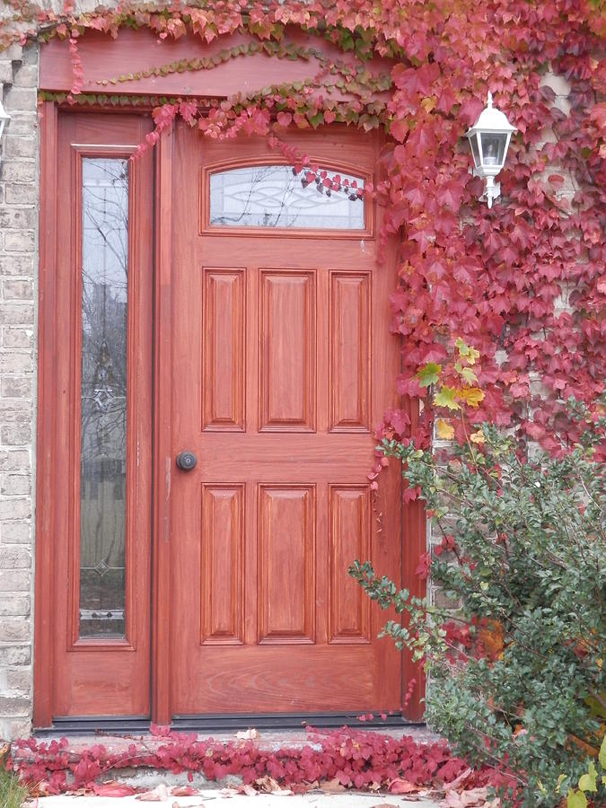 welcome-home-photograph-by-margaret-mcdermott