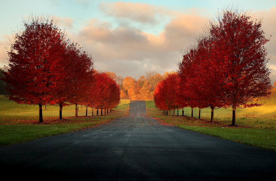Fall Photograph - Welcome Home by Rob Blair