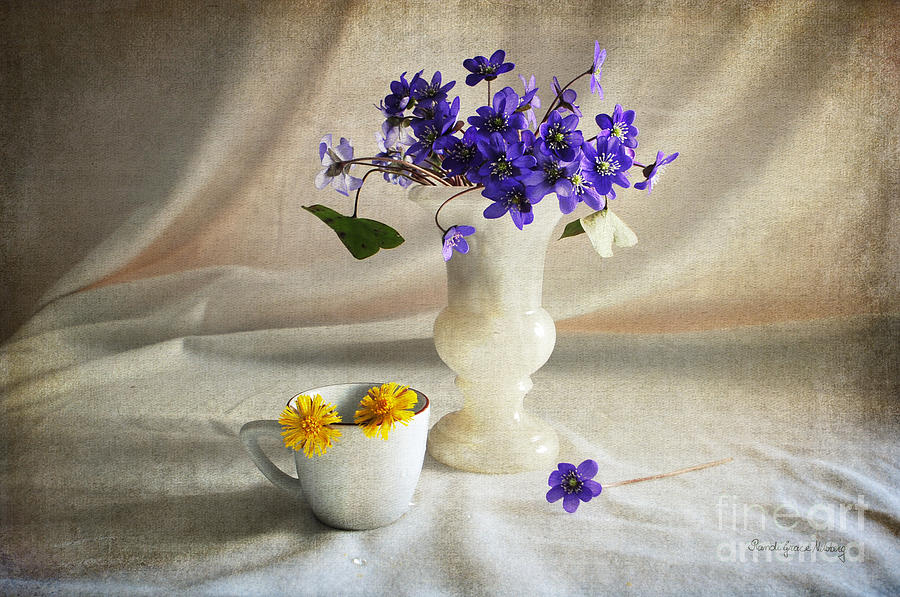 Spring Photograph - Welcome Spring by Randi Grace Nilsberg