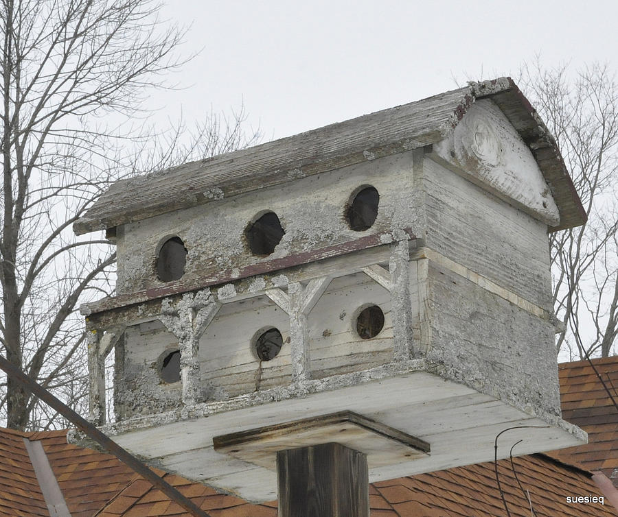 Birdhouse Photograph - Welcome by Sue Rosen
