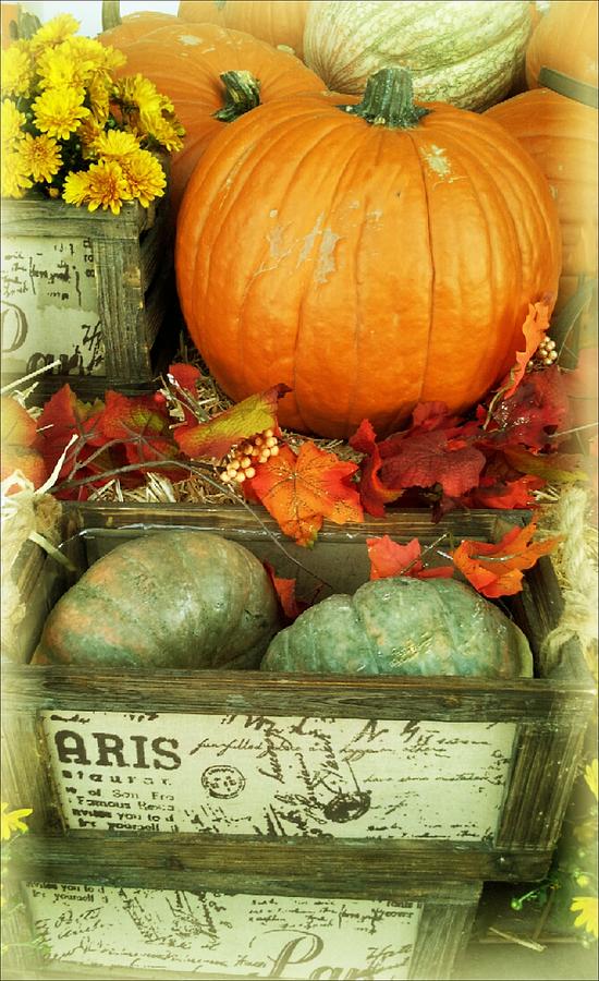 Welcome to Fall Photograph by Michelle Frizzell-Thompson