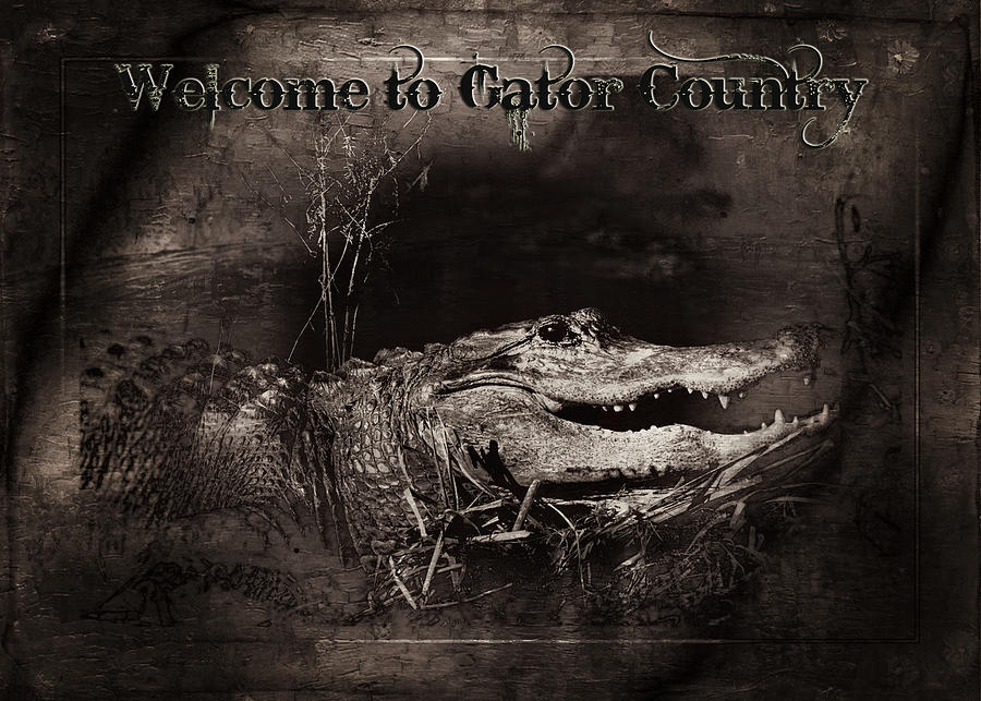 Welcome to Gator Country Photograph by Mark Andrew Thomas